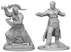 Pathfinder Deep Cuts - Human Monk Male Pre-Primed